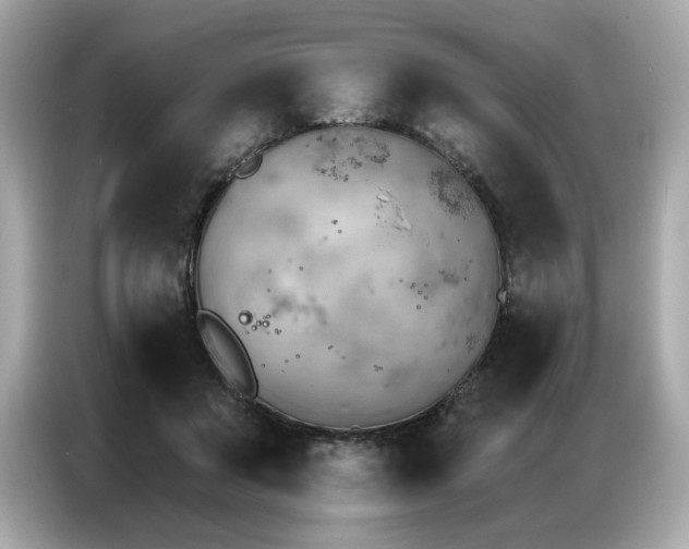 X0000087040503200704181218