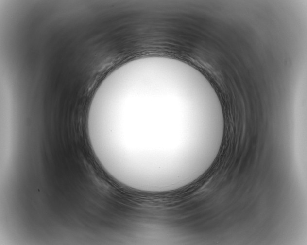 X0000087040504200704181218