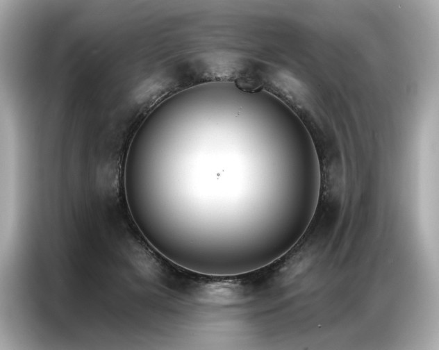 X0000087040505200704181218