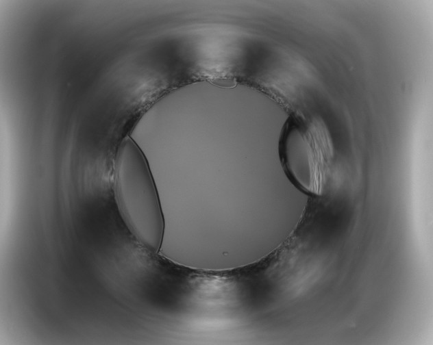 X0000087040507200704181218