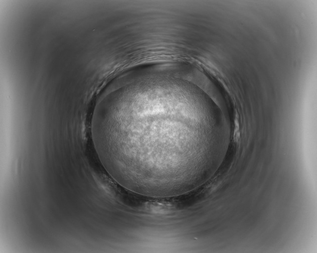 X0000087040512200704181218
