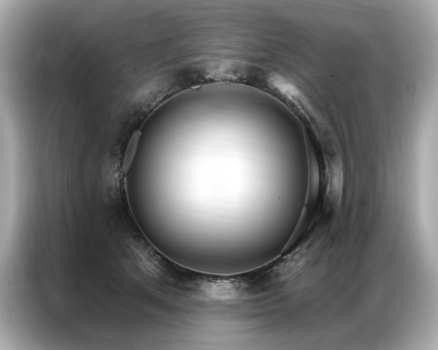 X0000087040513200704181218