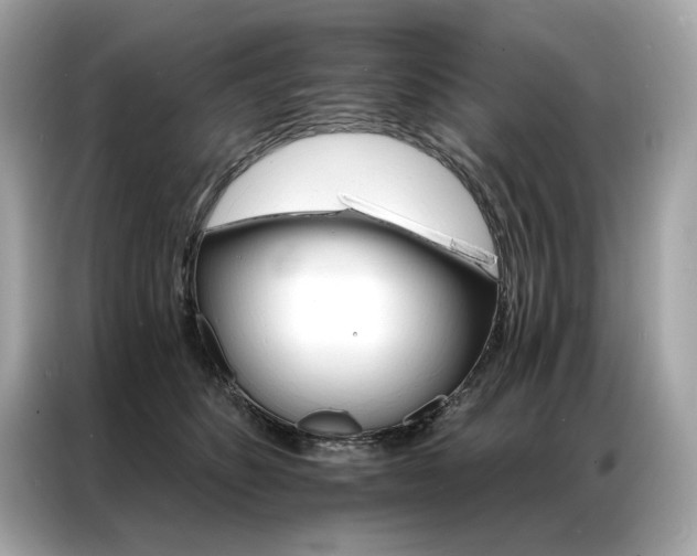 X0000087040516200704181218