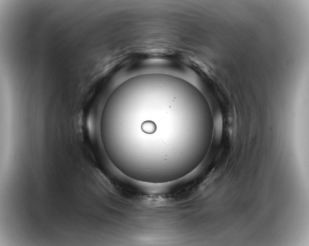X0000087040519200704181218