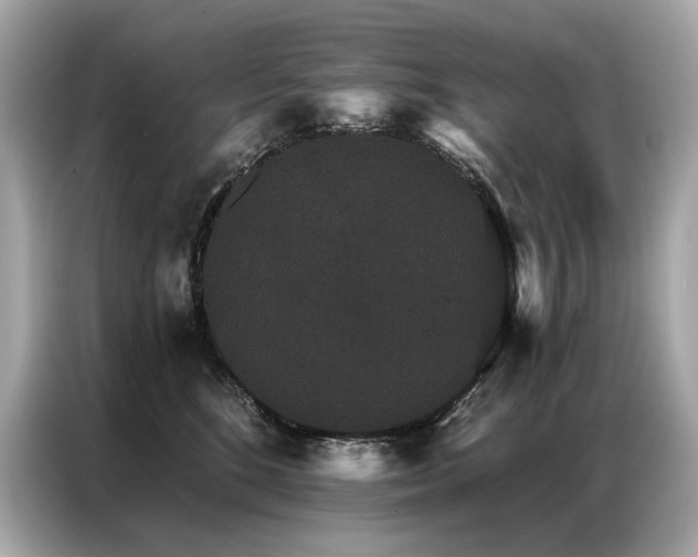 X0000087040520200704181218