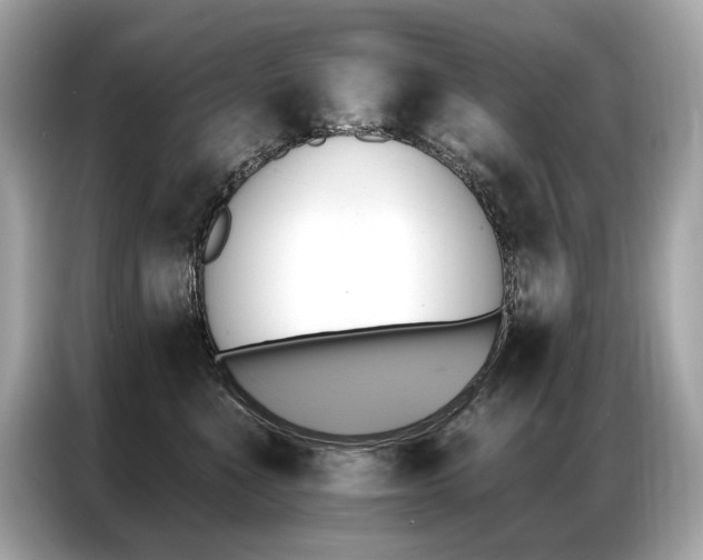 X0000087040523200704181218