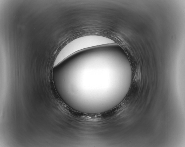 X0000087040524200704181218
