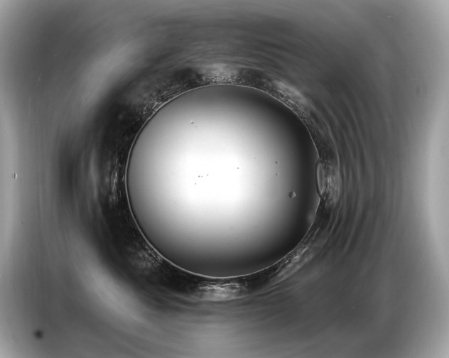 X0000087040525200704181218