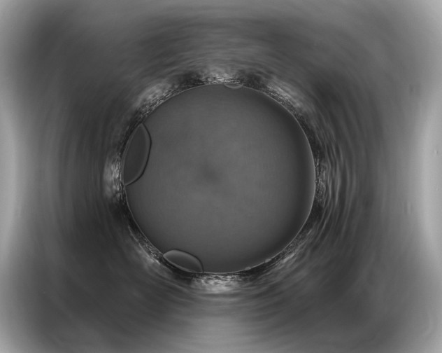X0000087040526200704181218