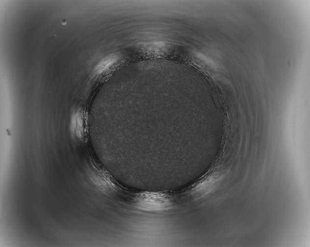 X0000087040528200704181218