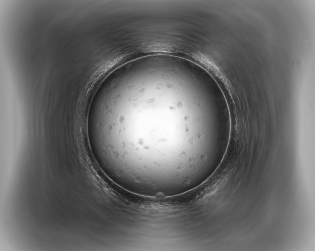 X0000087040529200704181217