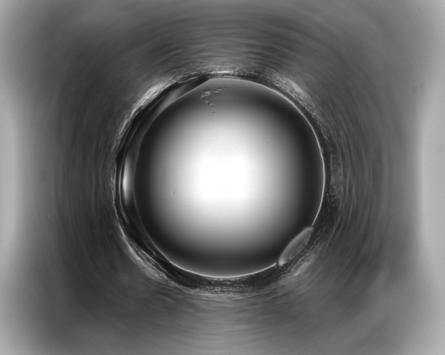 X0000087040530200704181217