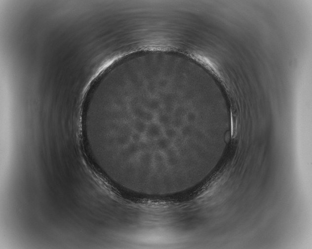X0000087040531200704181217