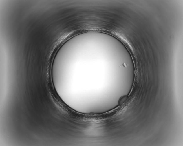 X0000087040533200704181217