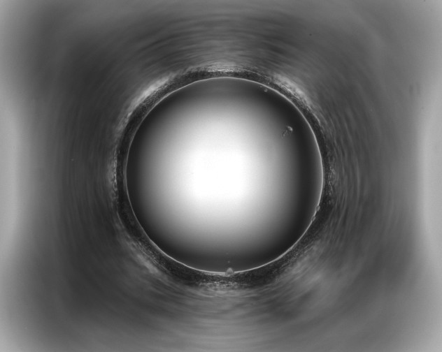 X0000087040535200704181217