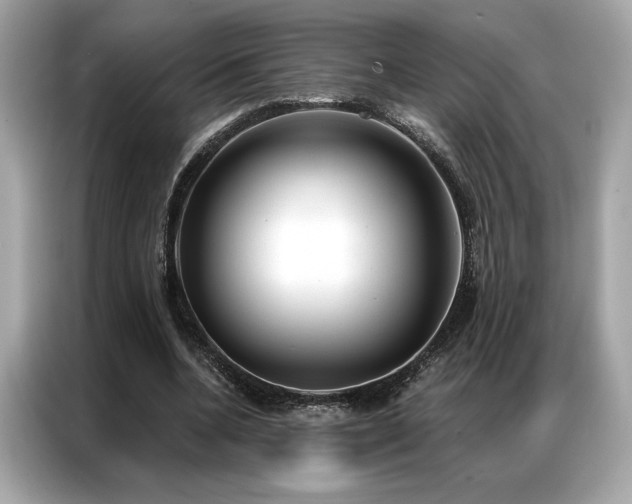 X0000087040536200704181217