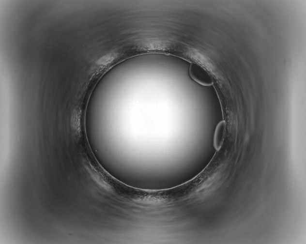 X0000087040537200704181217