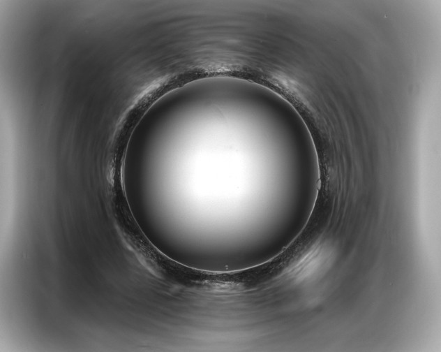 X0000087040539200704181217
