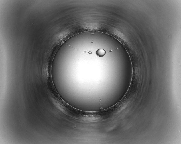 X0000087040541200704181217