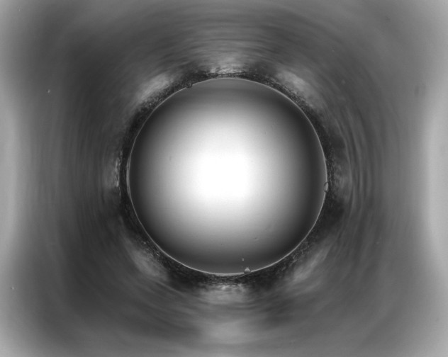 X0000087040543200704181217