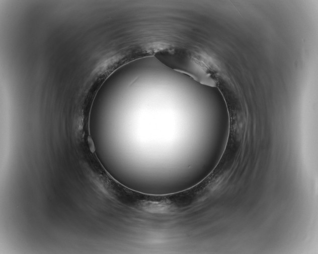 X0000087040548200704181218