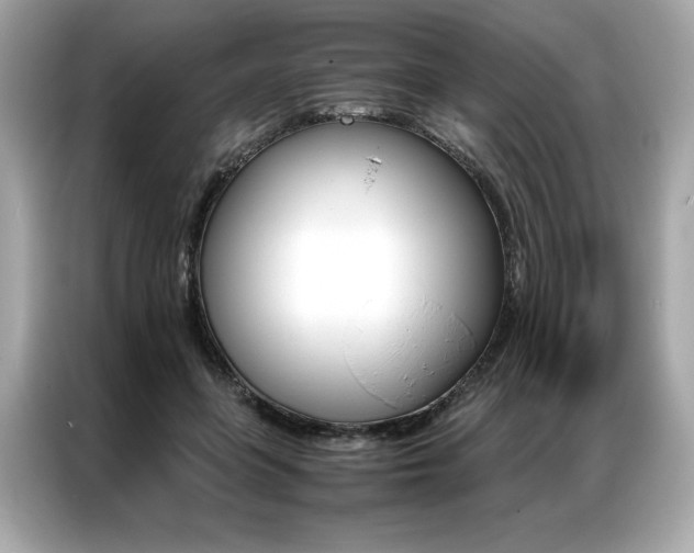X0000087040551200704181218