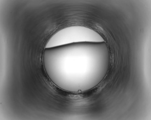 X0000087040553200704181218