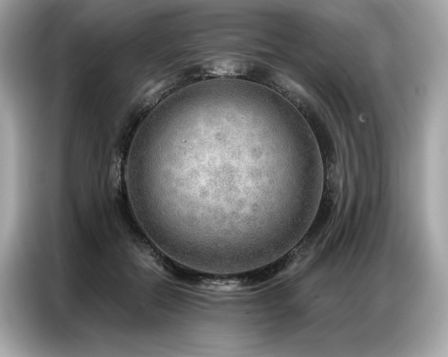 X0000087040554200704181218