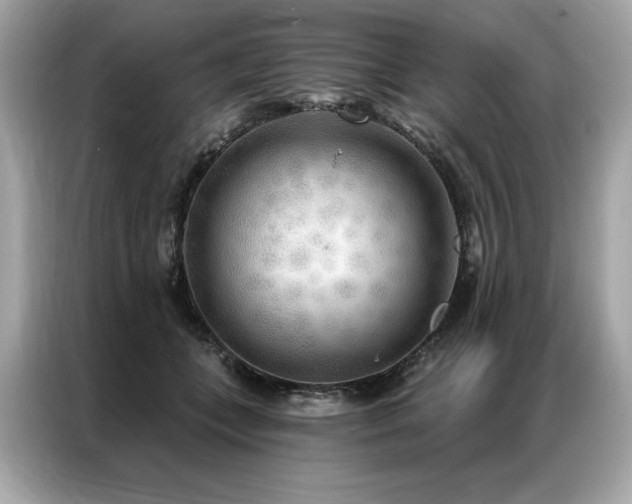 X0000087040559200704181218