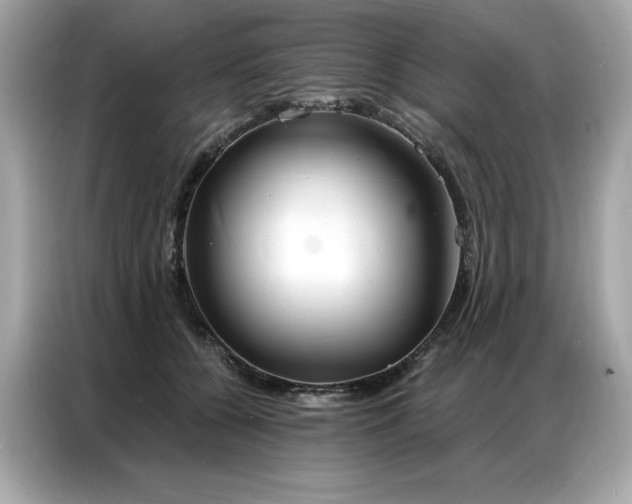 X0000087040560200704181218