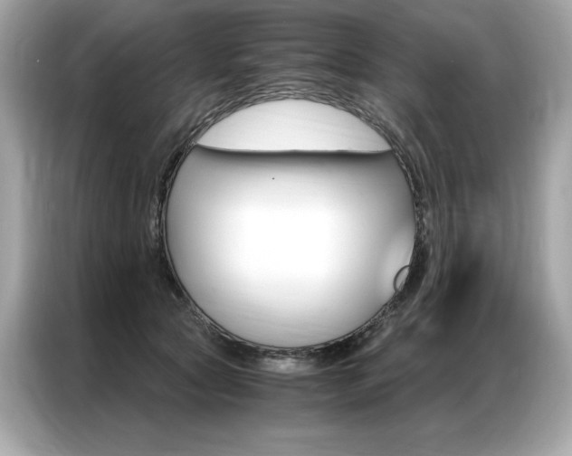 X0000087040561200704181218