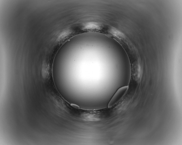 X0000087040563200704181218