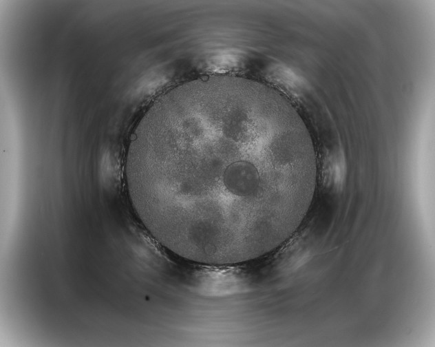 X0000087040569200704181218