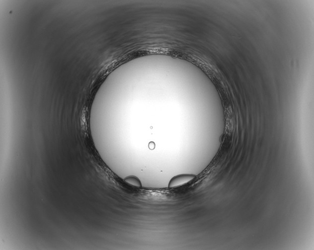X0000087040573200704181218