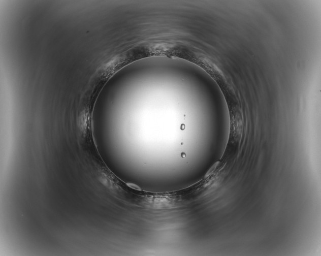 X0000087040574200704181218