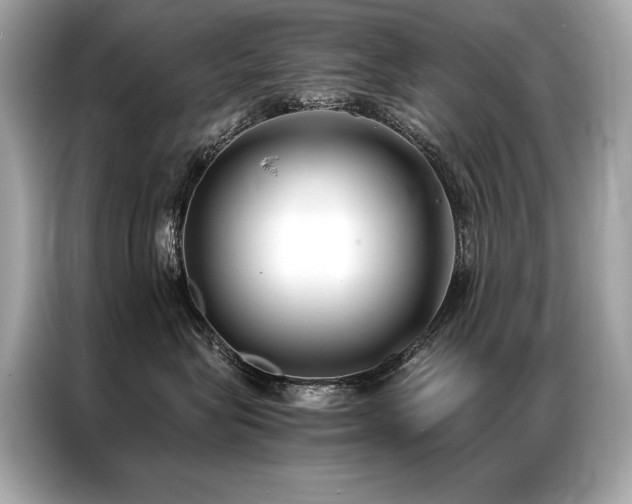 X0000087040575200704181218