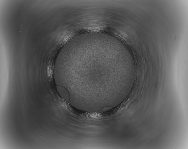 X0000087040576200704181218