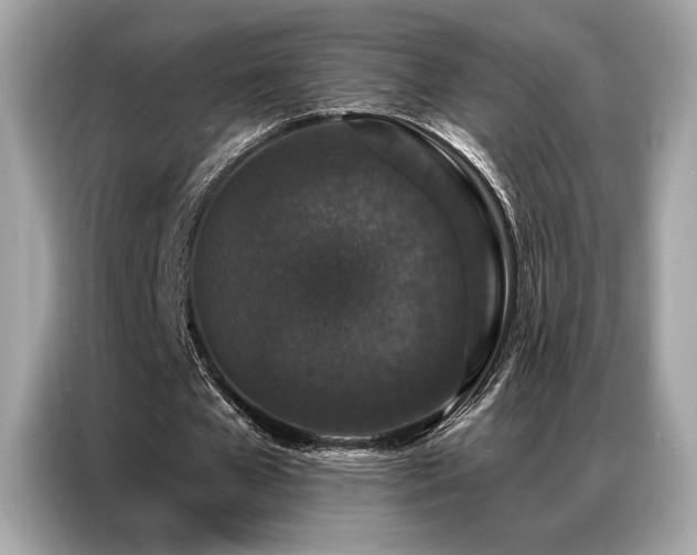 X0000087040577200704181217