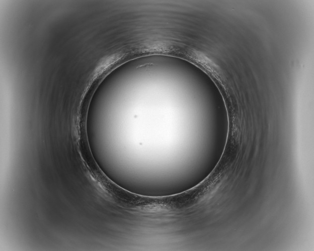 X0000087040578200704181217