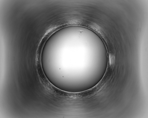 X0000087040579200704181217