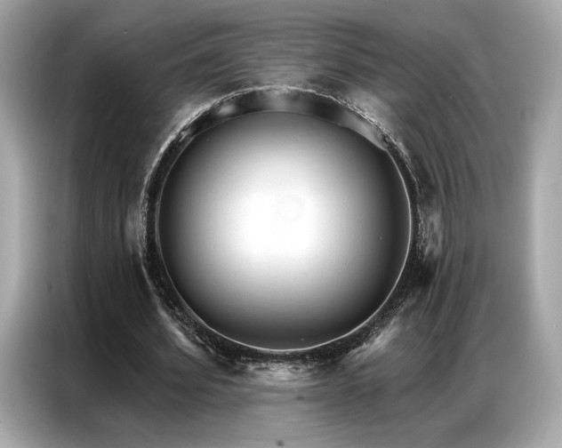 X0000087040580200704181217