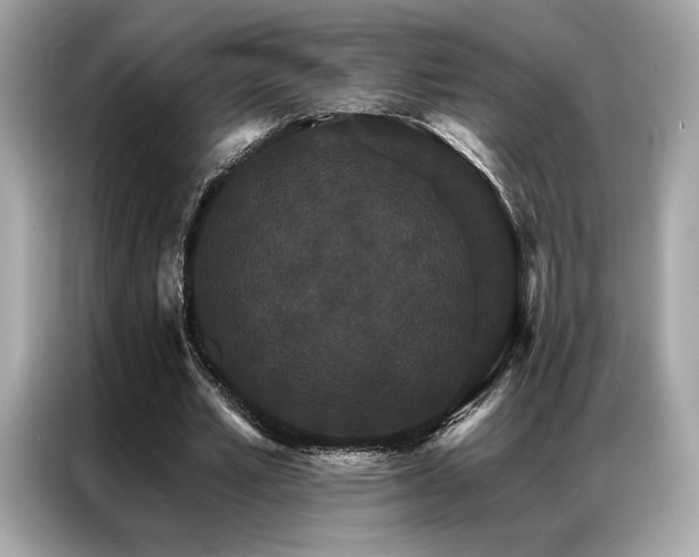 X0000087040581200704181217