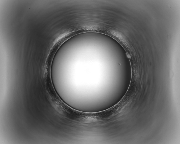 X0000087040583200704181217