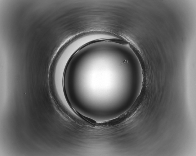 X0000087040584200704181217