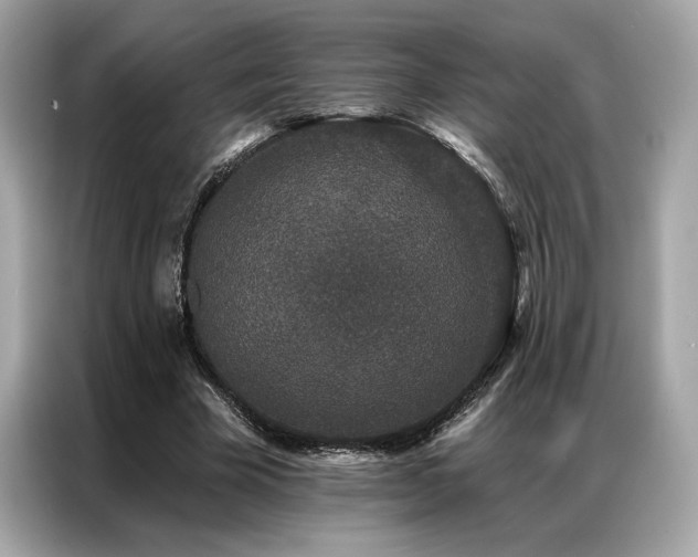 X0000087040585200704181217