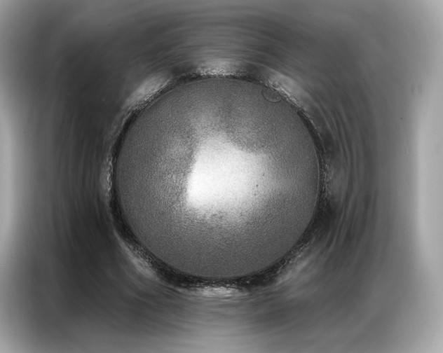 X0000087040586200704181217