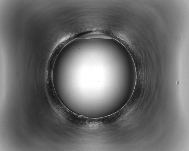X0000087040587200704181217