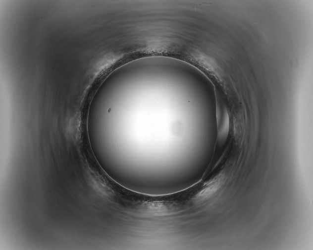 X0000087040588200704181217