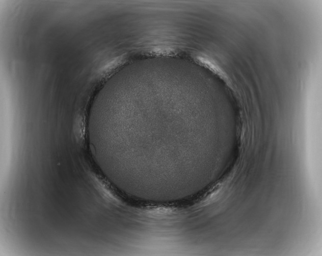 X0000087040593200704181217
