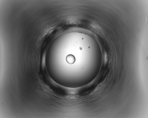 X0000087040595200704181217